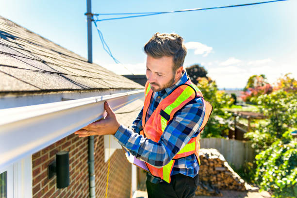 Best Roof Moss and Algae Removal  in Wendover, UT