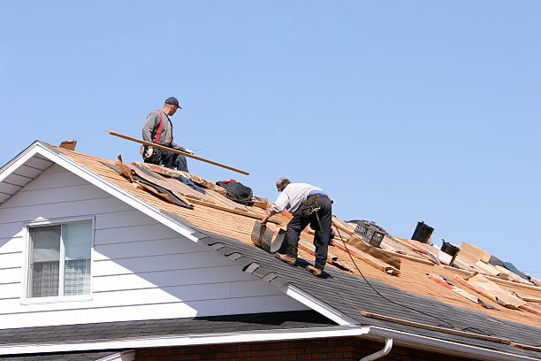 Best Roof Maintenance and Cleaning  in Wendover, UT